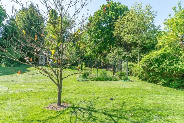 view of green lawn