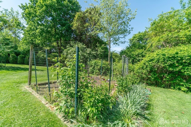 view of green lawn featuring a vegetable garden