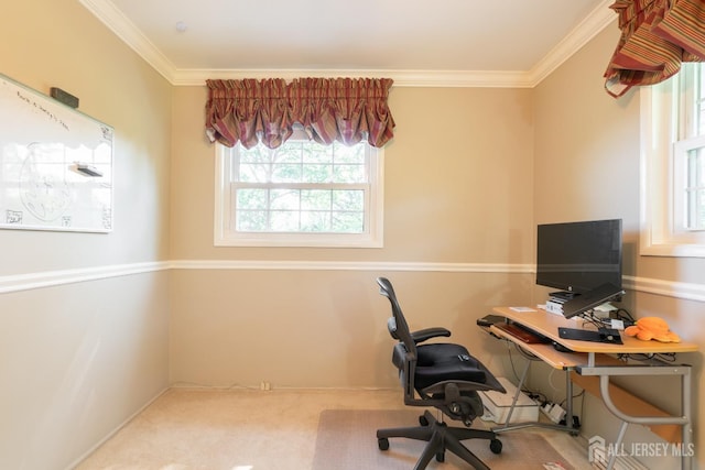 office area with carpet floors and ornamental molding