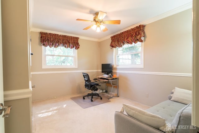 home office featuring ceiling fan, carpet floors, and ornamental molding