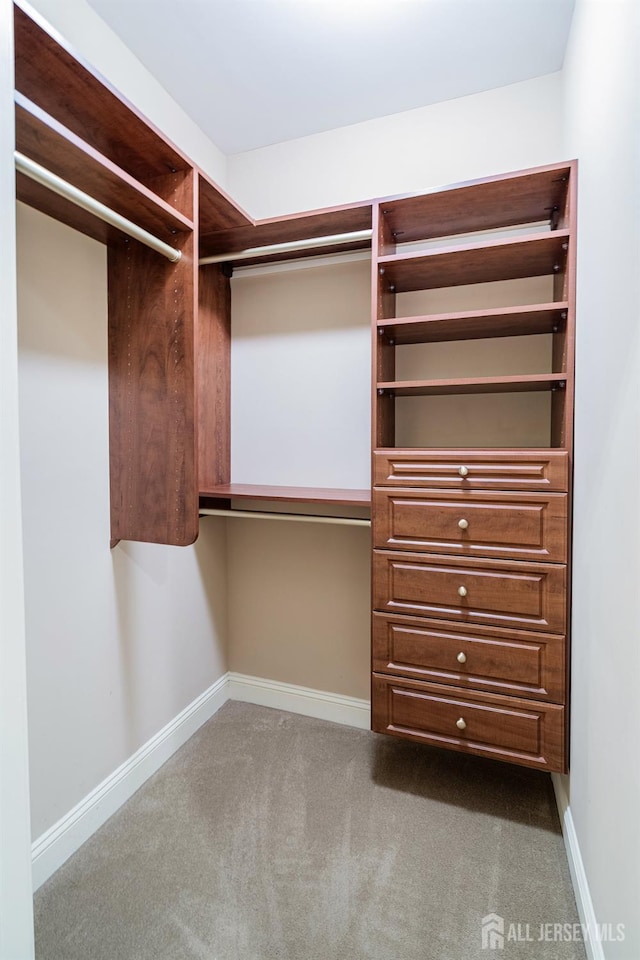 540 Cranbury Rd Unit 105, East Brunswick, NJ 08816 - walk in closet featuring carpet floors