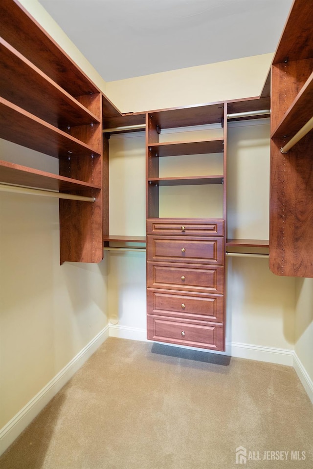 540 Cranbury Rd Unit 105, East Brunswick, NJ 08816 - spacious closet featuring carpet flooring