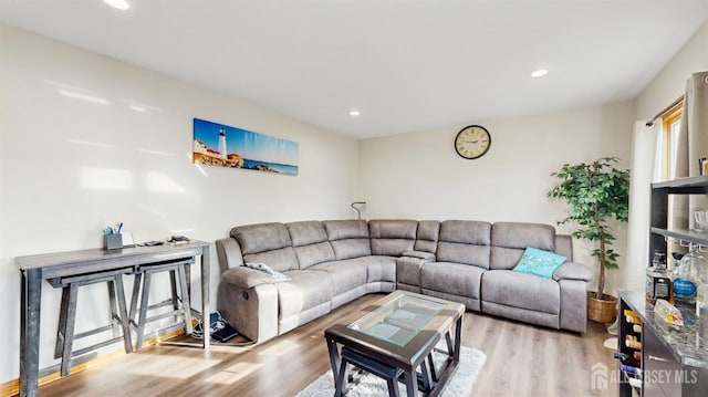 living room with hardwood / wood-style floors