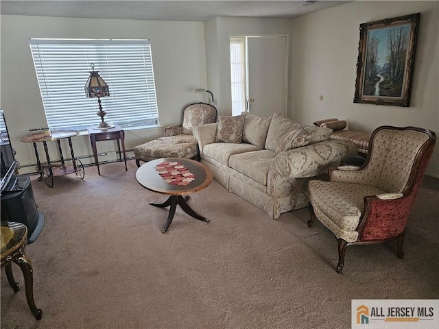 living area with carpet and a textured ceiling