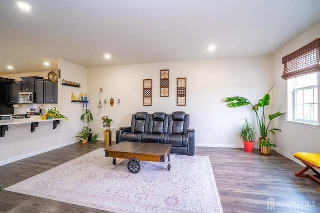 102 Matutina Rd, Monroe, NJ 08831 - living area featuring recessed lighting and dark wood-style floors