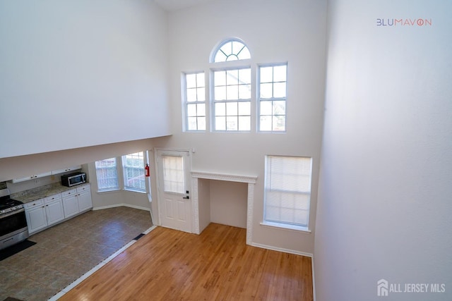 foyer with a towering ceiling and light hardwood / wood-style flooring