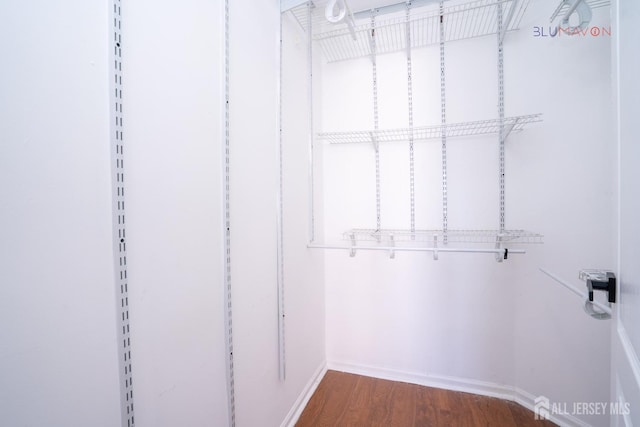 walk in closet with hardwood / wood-style floors