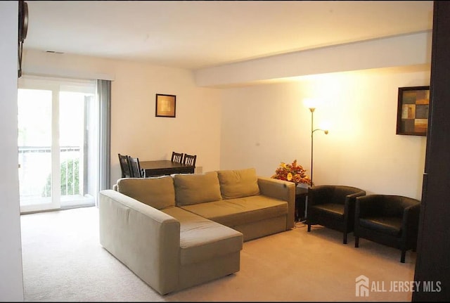 604 Woodbridge Commons Way, Iselin, NJ 08830 - photo 8