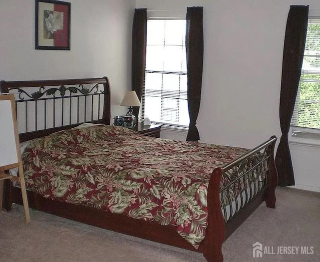 604 Woodbridge Commons Way, Iselin, NJ 08830 - photo 11