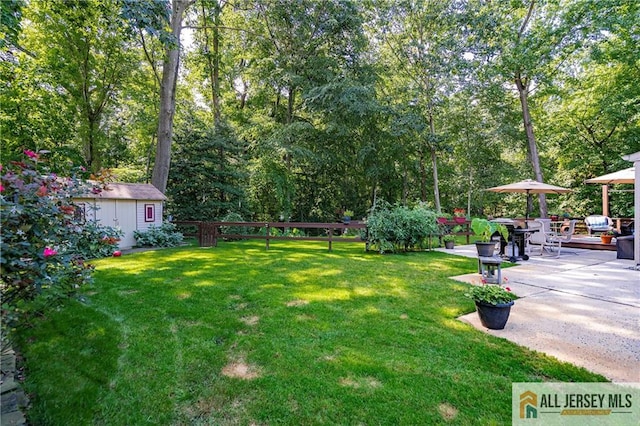 view of yard featuring a shed and a patio area