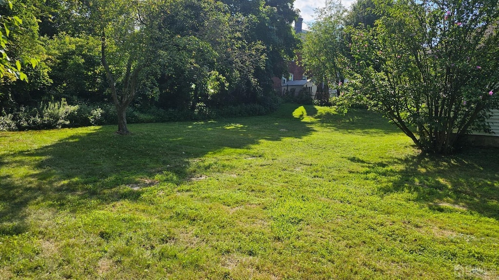 16 Pulawski Ave, South River, NJ 08882 - photo 2