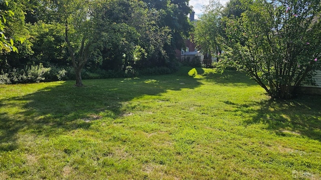 16 Pulawski Ave, South River, NJ 08882 - photo 2