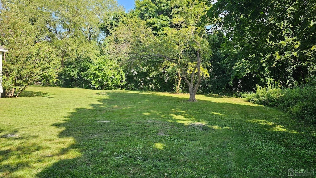 16 Pulawski Ave, South River, NJ 08882 - photo 3