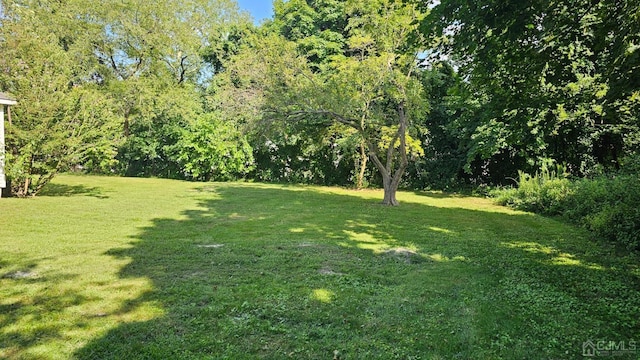16 Pulawski Ave, South River, NJ 08882 - photo 3