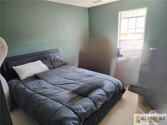 6232 Cedar Ct, South Brunswick, NJ 08852 - bedroom featuring carpet flooring