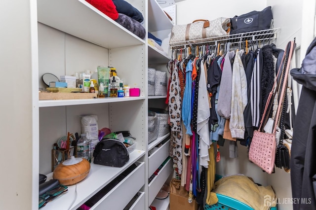 view of spacious closet
