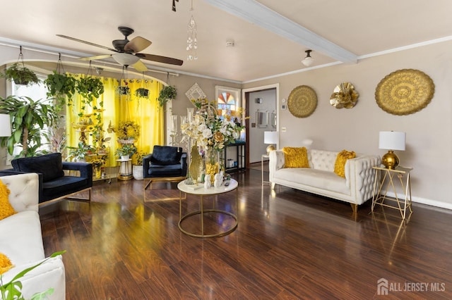 92 Main St, Helmetta, NJ 08828 - living area featuring ceiling fan, wood finished floors, and crown molding