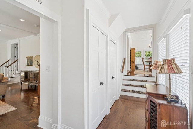 59 S Main St, Cranbury, NJ 08512 - hallway featuring stairs and dark wood finished floors