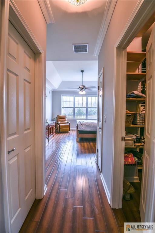 hallway featuring ornamental molding, visible vents, dark wood-type flooring, and a raised ceiling
