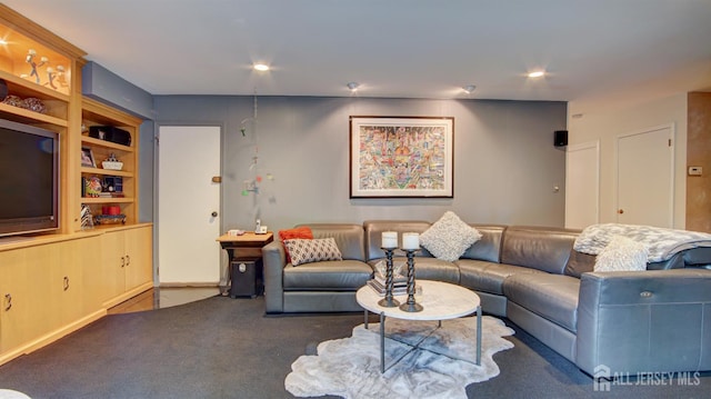 15 Timber Rd, East Brunswick, NJ 08816 - living area with carpet floors and built in features