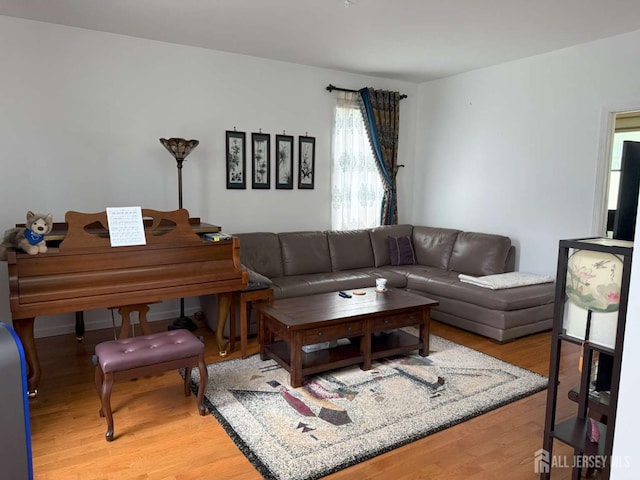 117 Providence Blvd, South Brunswick, NJ 08824 - living room with wood finished floors
