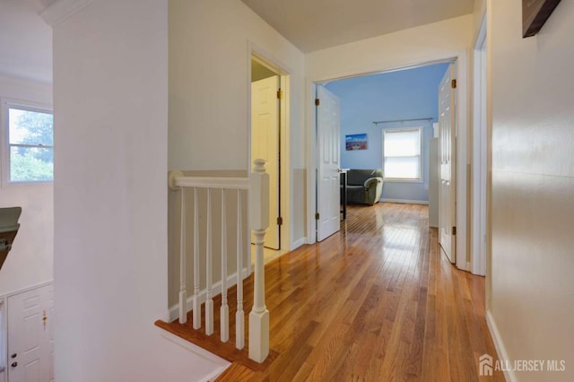 117 Providence Blvd, South Brunswick, NJ 08824 - photo 14