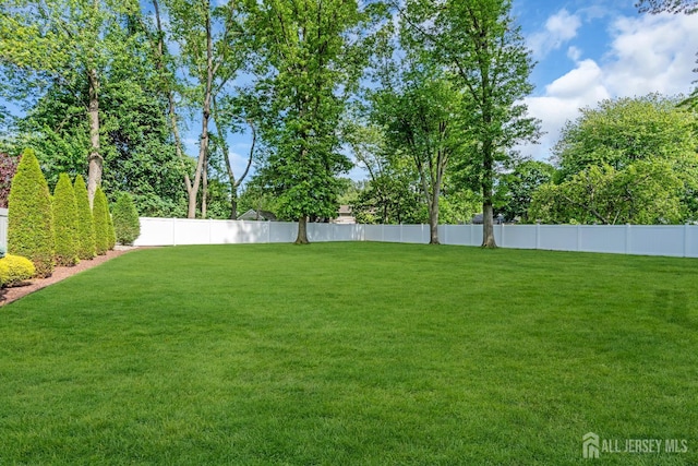 11 Diana Ct, East Brunswick, NJ 08816 - view of yard