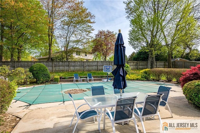 13 Harper Rd, South Brunswick, NJ 08852 - view of pool with a patio and a fenced backyard
