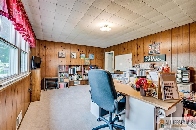 13 Harper Rd, South Brunswick, NJ 08852 - office area with wood walls and carpet