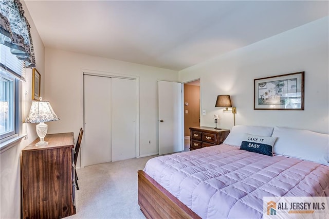 13 Harper Rd, South Brunswick, NJ 08852 - bedroom featuring carpet floors and a closet
