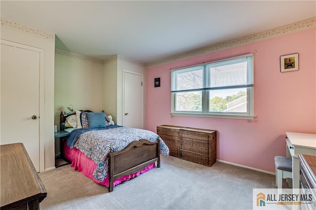 13 Harper Rd, South Brunswick, NJ 08852 - bedroom with carpet flooring and baseboards