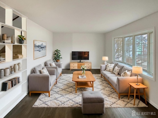 living room featuring wood finished floors