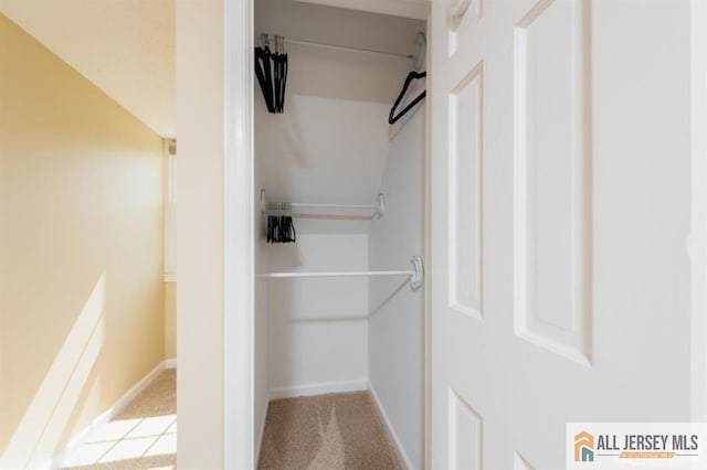 spacious closet with carpet floors