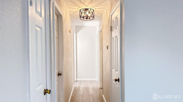 126 Jefferson Ln, Little Egg Harbor, NJ 08087 - corridor featuring light wood finished floors, a textured wall, and baseboards