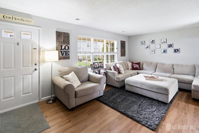 938 Thomas Ave, North Brunswick, NJ 08902 - living room featuring light wood-type flooring and a textured ceiling