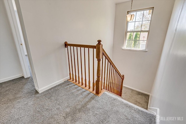230 S 10th Ave S, Highland Park, NJ 08904 - staircase featuring carpet floors and baseboards