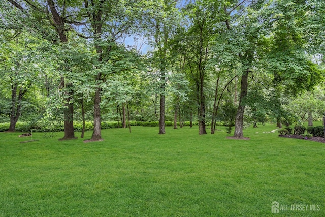 58 Primrose Cir S, Brunswick, NJ 08540 - photo 30