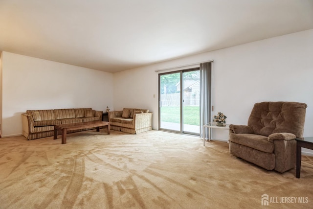 1541 Edly Cove Ct, North Brunswick, NJ 08902 - photo 20