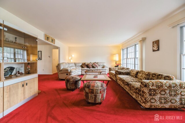 1541 Edly Cove Ct, North Brunswick, NJ 08902 - photo 6
