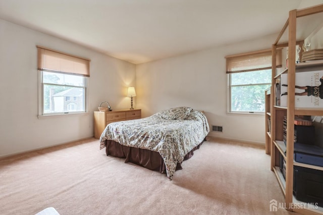 1541 Edly Cove Ct, North Brunswick, NJ 08902 - photo 38