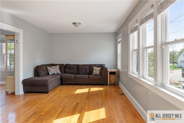16 Lafayette Ave, Edison, NJ 08837 - living area featuring plenty of natural light, light wood-style flooring, and baseboards