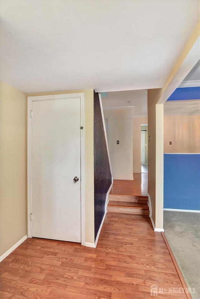 65 Brookview Cir, Jamesburg, NJ 08831 - stairs with baseboards and wood finished floors