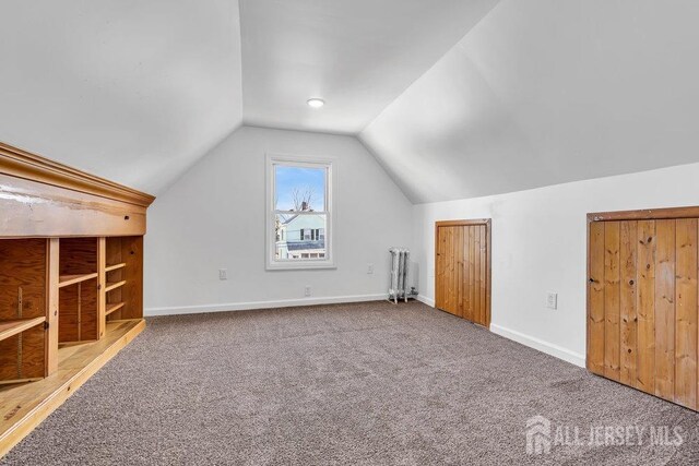 additional living space featuring radiator, vaulted ceiling, and carpet floors