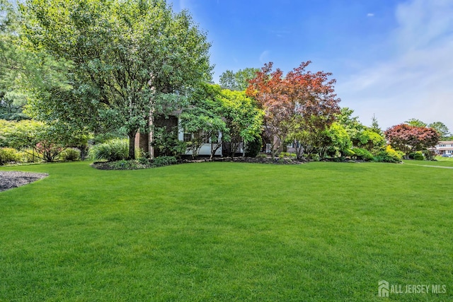 10 Margie Rd, East Brunswick, NJ 08816 - view of grassy yard