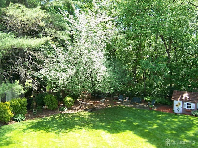 10 Margie Rd, East Brunswick, NJ 08816 - view of grassy yard