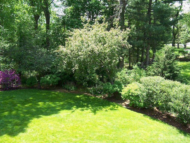 10 Margie Rd, East Brunswick, NJ 08816 - view of grassy yard