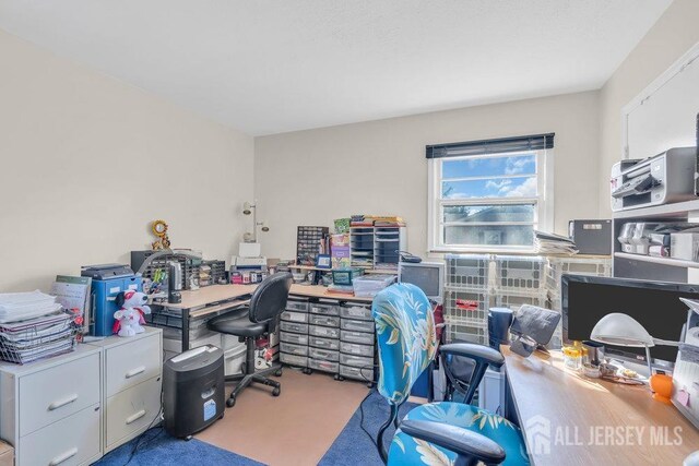 office area featuring light colored carpet