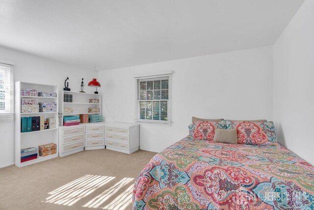 bedroom with light colored carpet