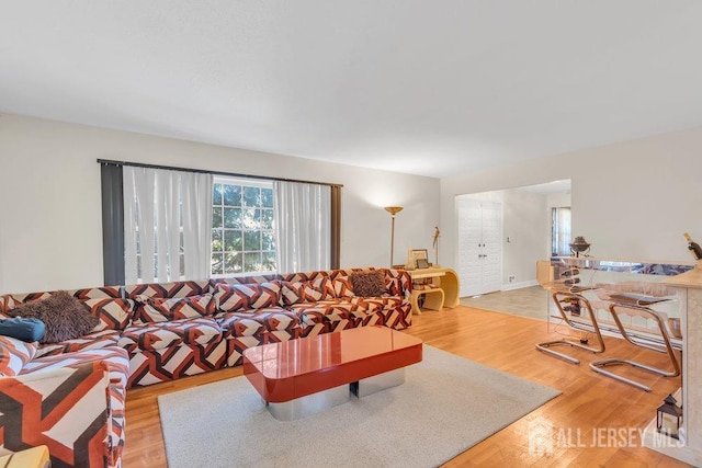 living room featuring a wealth of natural light and light hardwood / wood-style floors