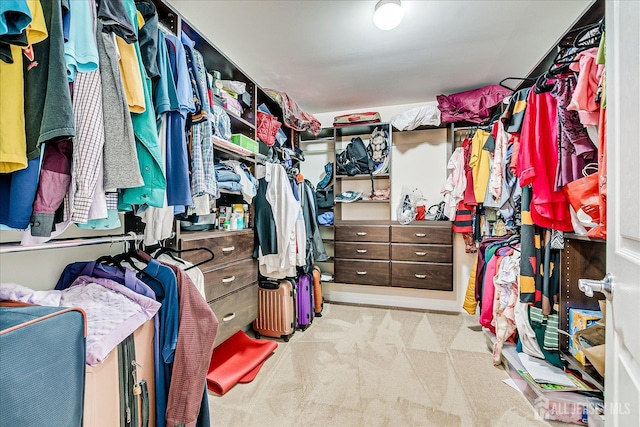 walk in closet featuring carpet flooring